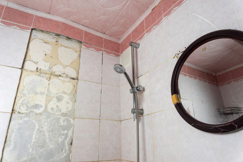 Shower Remodeling detail